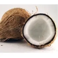 Semi Husk Coconut