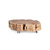 Root Live Edge Coffee Table