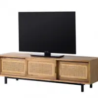 Cane TV Unit
