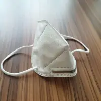 KN95 Face Mask