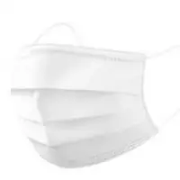 3 Ply Mask