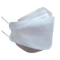 3D Mask (Anti-Dust / Anti-Droplet)
