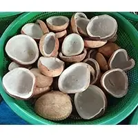 Dried Regular White Copra