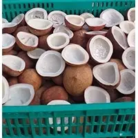 Edible Copra (Dried)