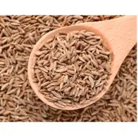 Cumin Seeds