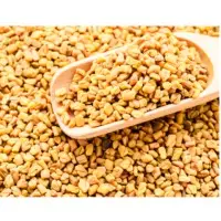 Fenugreek Seeds