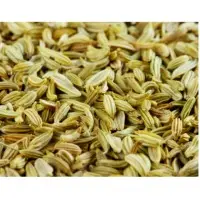 Fennel Seeds