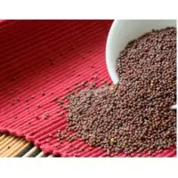 Mustard Seeds