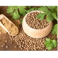 Coriander Seeds