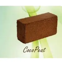 Coco Peat