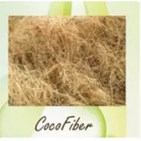 Coco Fiber