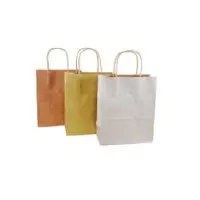 Premium Metal Paper Shopping Bag