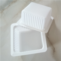 PP Plastic Tray