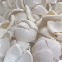Fresh Coconut Meat Chunk