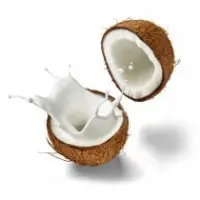 Canned Coconut Milk