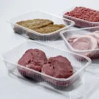 Fresh Fruit and Vegetable Anti Fog PET Tray
