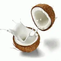 Canned Coconut Milk