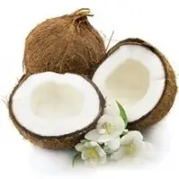 Vietnamese Fresh Matured Coconut