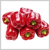 Red Capsicum