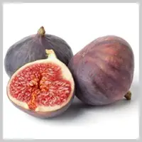 Fig