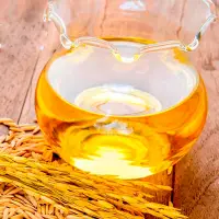 Crude Rice Bran Oil
