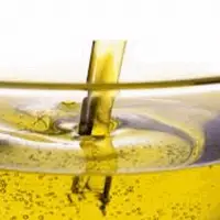Crude Sunflower Oil