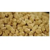 Kabuli Chickpeas