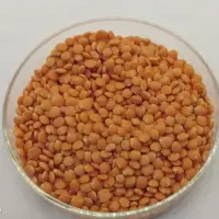 Red Lentils Split (Masoor dal)