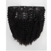 Clip In Water Wave