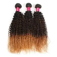 Ombre Remy Premier Hair