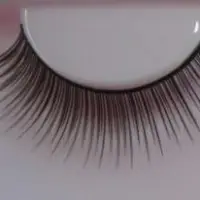 Mink Eyelash Extensions