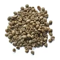 Green Coffee Bean Robusta Fine Grade Natural P.