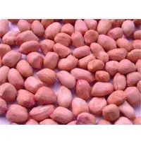Peanuts