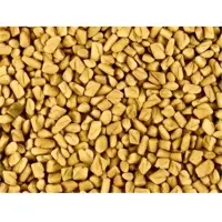 Fenugreek Seeds