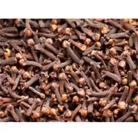 Clove