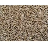 Cumin Seeds