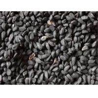 Kalonji Seeds