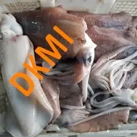 Softbone Cuttlefish (Sepia Spp.)