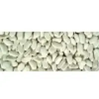 White beans