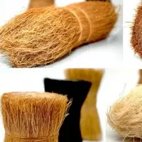 Coir Bristle Fiber