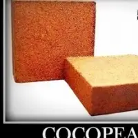 Coco Peat