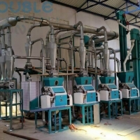 Dlwf20 Wheat Flour Milling Plant