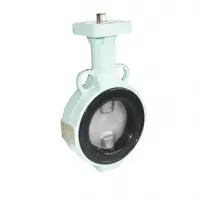 Butterfly Valve - Av 14  - Al,  Wafer,  Bare