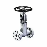 Plant Valve - Gate Valve - Lv-02