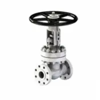 Plant Valve - Gate Valve - Lv-03