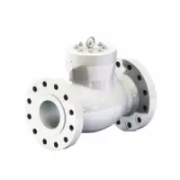 Plant Valve - Check Valve - Lv-06