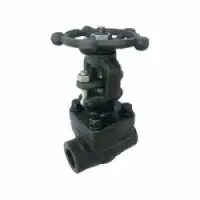 Plant Valve - Forged Steel Gate Valve- Lv-16