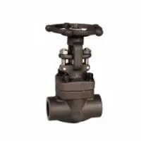 Plant Valve - Forged Steel Globe Valve - Lv-16