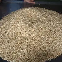 Brocken Cashew Nuts