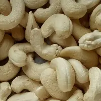 Organic Cashew Nuts
